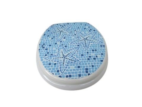 (image for) 1X New Blue Ocean Sea Star Toilet Seat & Cover